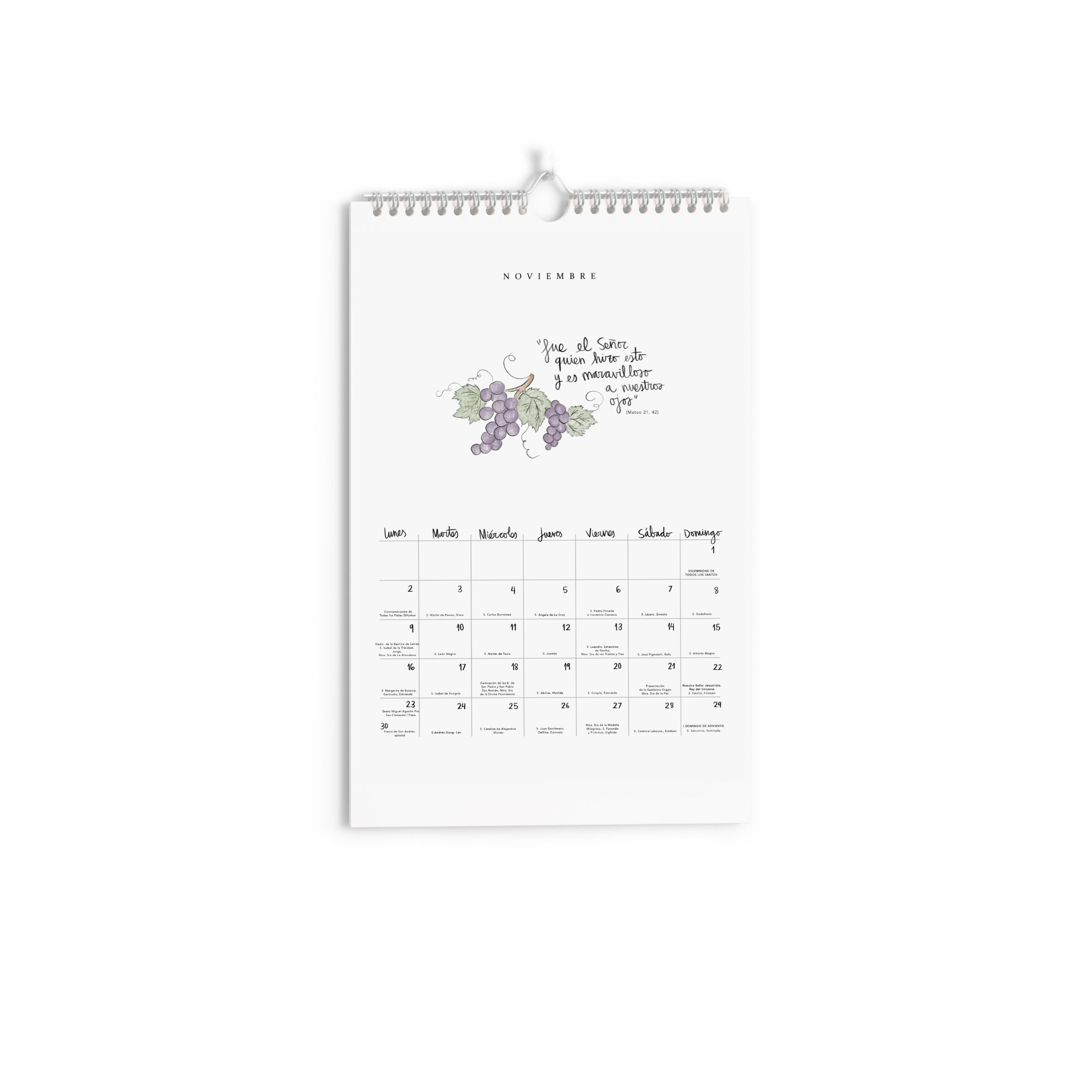 mupnoviembre